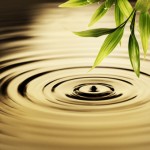 Fresh bamboo leaves over water